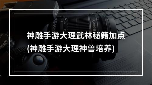 神雕手游大理武林秘籍加点(神雕手游大理神兽培养)