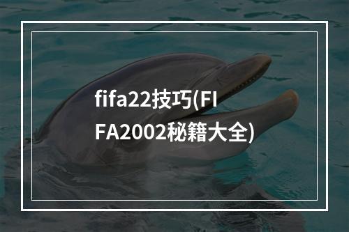 fifa22技巧(FIFA2002秘籍大全)