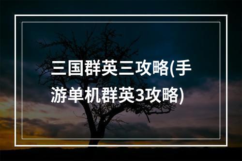 三国群英三攻略(手游单机群英3攻略)