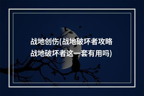 战地创伤(战地破坏者攻略 战地破坏者这一套有用吗)