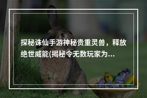 探秘诛仙手游神秘贵重灵兽，释放绝世威能(揭秘令无数玩家为之疯狂的贵重灵兽之谜)