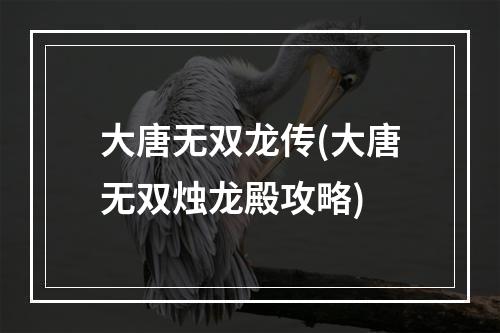 大唐无双龙传(大唐无双烛龙殿攻略)