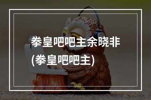 拳皇吧吧主余晓非(拳皇吧吧主)