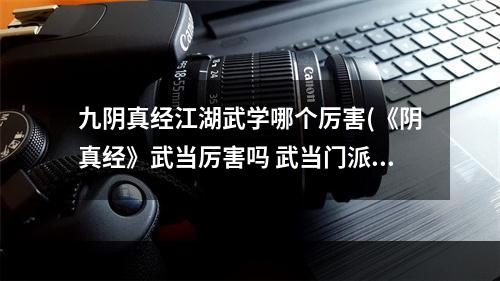 九阴真经江湖武学哪个厉害(《阴真经》武当厉害吗 武当门派全面解析与综合能力)