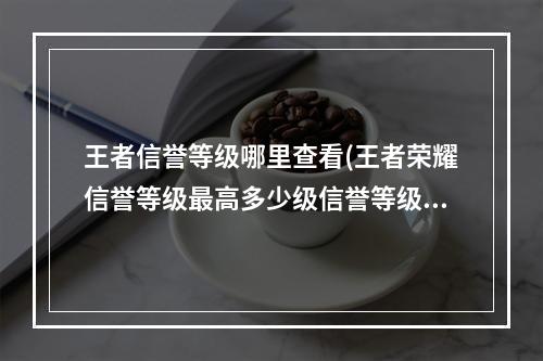 王者信誉等级哪里查看(王者荣耀信誉等级最高多少级信誉等级在哪里看)