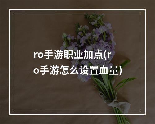 ro手游职业加点(ro手游怎么设置血量)