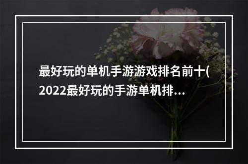 最好玩的单机手游游戏排名前十(2022最好玩的手游单机排行榜)