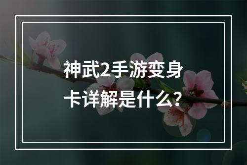 神武2手游变身卡详解是什么？