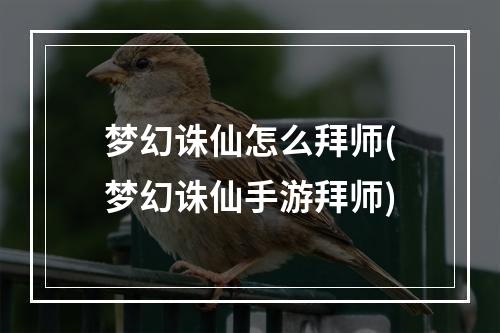 梦幻诛仙怎么拜师(梦幻诛仙手游拜师)