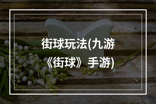 街球玩法(九游《街球》手游)