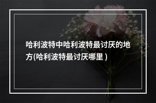 哈利波特中哈利波特最讨厌的地方(哈利波特最讨厌哪里 )