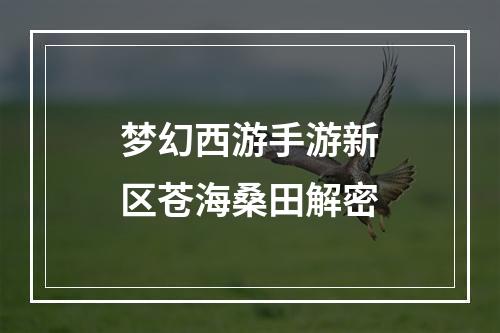 梦幻西游手游新区苍海桑田解密