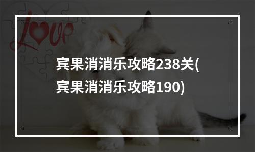 宾果消消乐攻略238关(宾果消消乐攻略190)