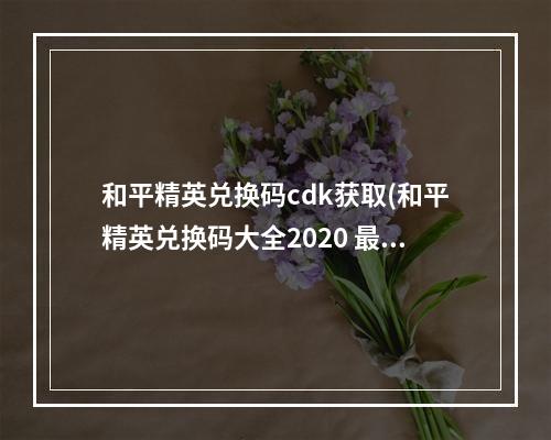 和平精英兑换码cdk获取(和平精英兑换码大全2020 最新cdkey兑换码分享)