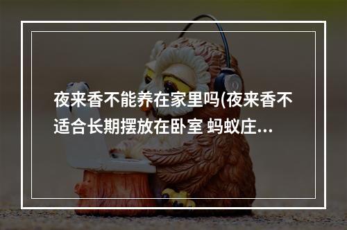 夜来香不能养在家里吗(夜来香不适合长期摆放在卧室 蚂蚁庄园3月23日答案最新)