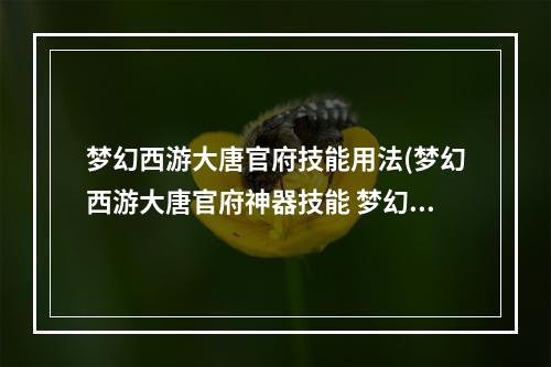 梦幻西游大唐官府技能用法(梦幻西游大唐官府神器技能 梦幻西游大唐官府神器技能)