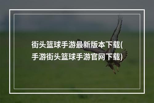 街头篮球手游最新版本下载(手游街头篮球手游官网下载)