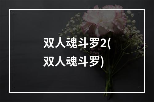 双人魂斗罗2(双人魂斗罗)