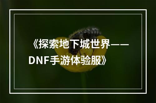 《探索地下城世界——DNF手游体验服》