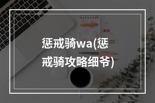 惩戒骑wa(惩戒骑攻略细爷)