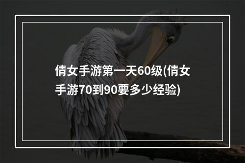 倩女手游第一天60级(倩女手游70到90要多少经验)