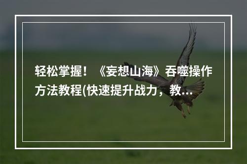 轻松掌握！《妄想山海》吞噬操作方法教程(快速提升战力，教你如何吞噬！)