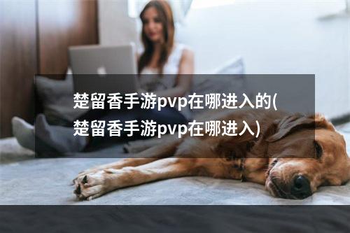 楚留香手游pvp在哪进入的(楚留香手游pvp在哪进入)