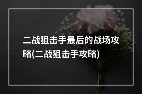 二战狙击手最后的战场攻略(二战狙击手攻略)