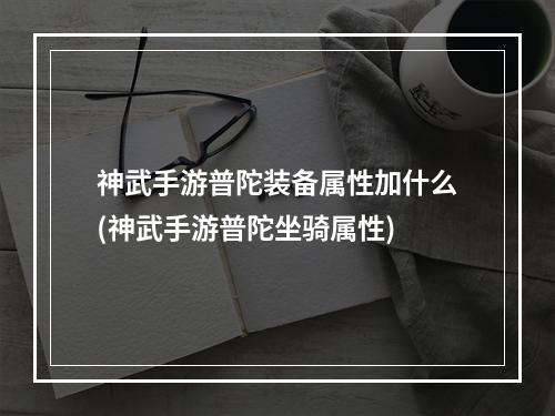 神武手游普陀装备属性加什么(神武手游普陀坐骑属性)