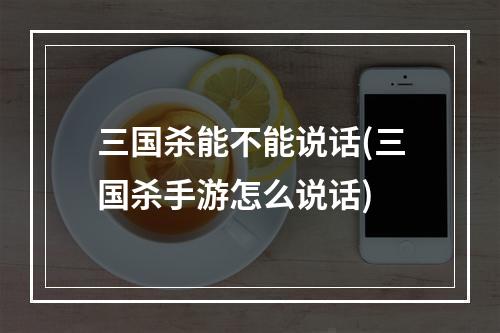 三国杀能不能说话(三国杀手游怎么说话)