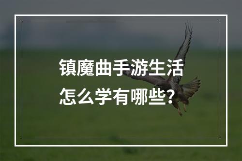 镇魔曲手游生活怎么学有哪些？