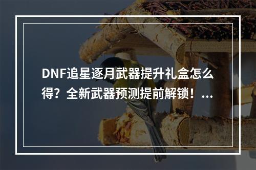 DNF追星逐月武器提升礼盒怎么得？全新武器预测提前解锁！(活动详情大揭秘)(DNF追星逐月武器提升礼盒开出了什么？珍贵道具大公开！(土豪福利火爆来袭))