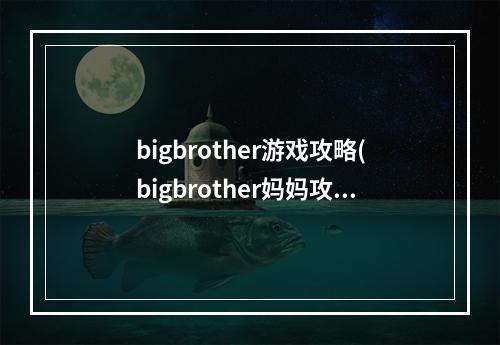 bigbrother游戏攻略(bigbrother妈妈攻略)