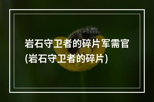 岩石守卫者的碎片军需官(岩石守卫者的碎片)