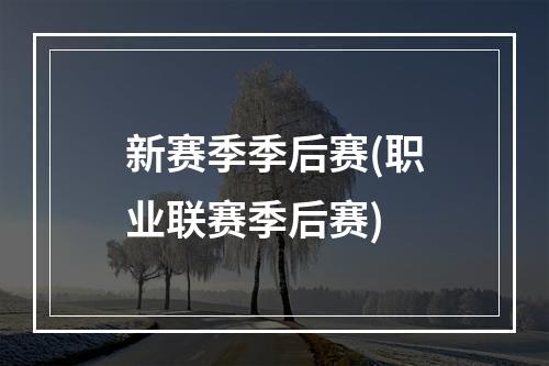 新赛季季后赛(职业联赛季后赛)