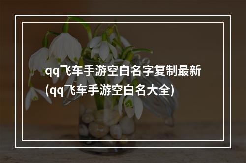 qq飞车手游空白名字复制最新(qq飞车手游空白名大全)