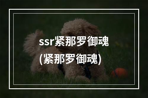 ssr紧那罗御魂(紧那罗御魂)