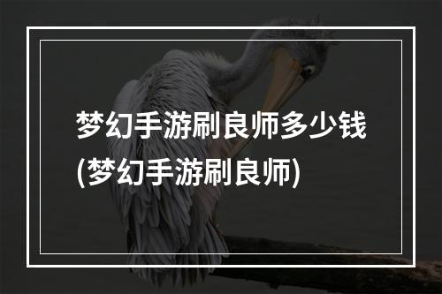 梦幻手游刷良师多少钱(梦幻手游刷良师)