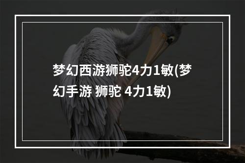 梦幻西游狮驼4力1敏(梦幻手游 狮驼 4力1敏)