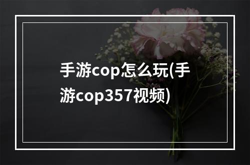 手游cop怎么玩(手游cop357视频)