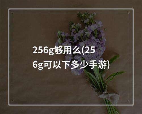 256g够用么(256g可以下多少手游)