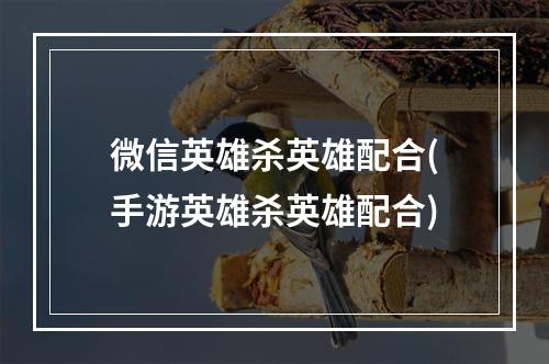 微信英雄杀英雄配合(手游英雄杀英雄配合)