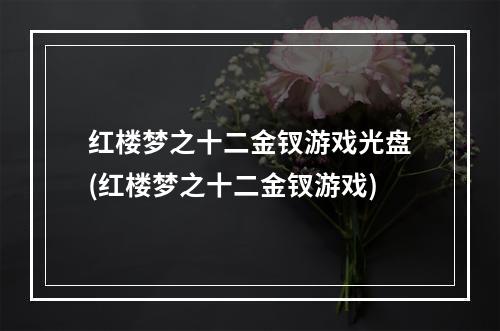 红楼梦之十二金钗游戏光盘(红楼梦之十二金钗游戏)