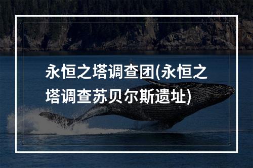 永恒之塔调查团(永恒之塔调查苏贝尔斯遗址)