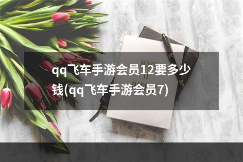 qq飞车手游会员12要多少钱(qq飞车手游会员7)