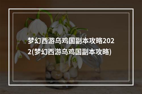 梦幻西游乌鸡国副本攻略2022(梦幻西游乌鸡国副本攻略)