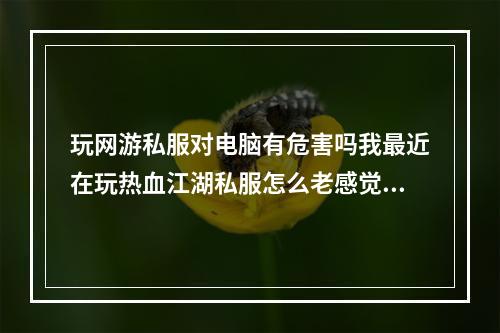 玩网游私服对电脑有危害吗我最近在玩热血江湖私服怎么老感觉电脑很卡(网游私服)