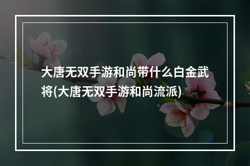 大唐无双手游和尚带什么白金武将(大唐无双手游和尚流派)