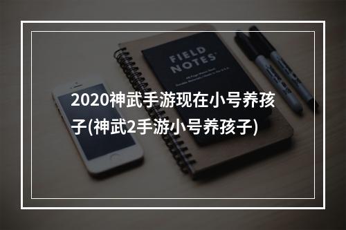 2020神武手游现在小号养孩子(神武2手游小号养孩子)