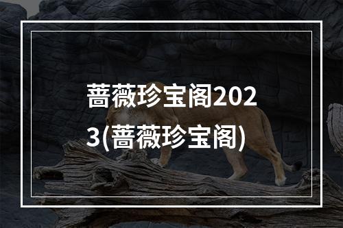 蔷薇珍宝阁2023(蔷薇珍宝阁)